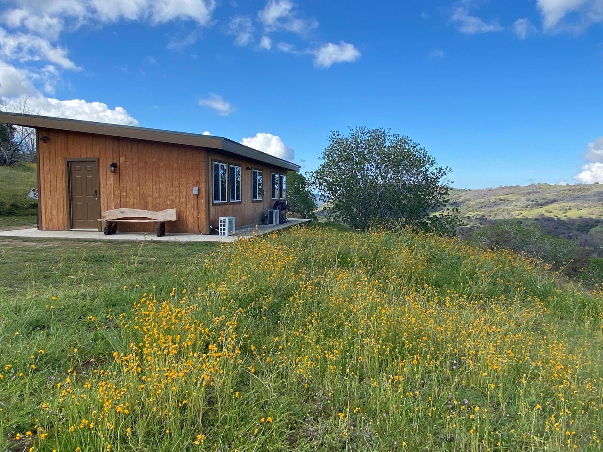 Walnut Cottage Badger Εξωτερικό φωτογραφία